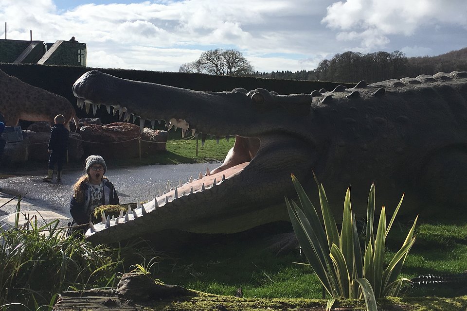 Longleat Manor Safari Park - april 2018 aligator