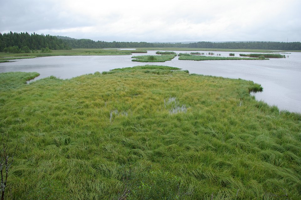 Ändsjön Frösön - juli 2009