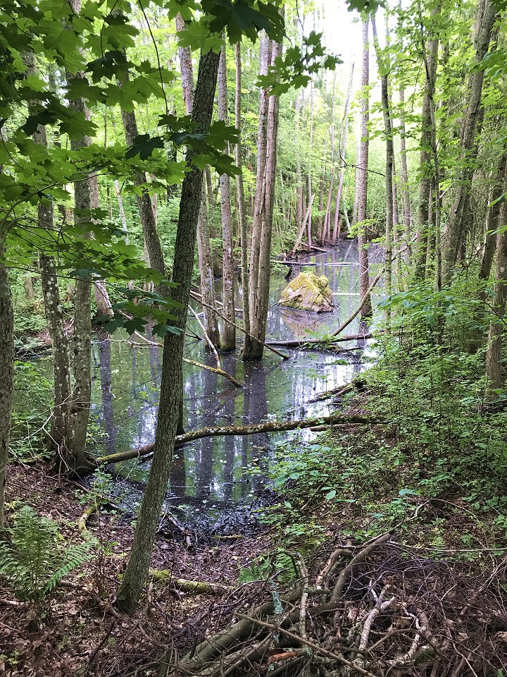 Ängelsebergs bruk - juli 2017