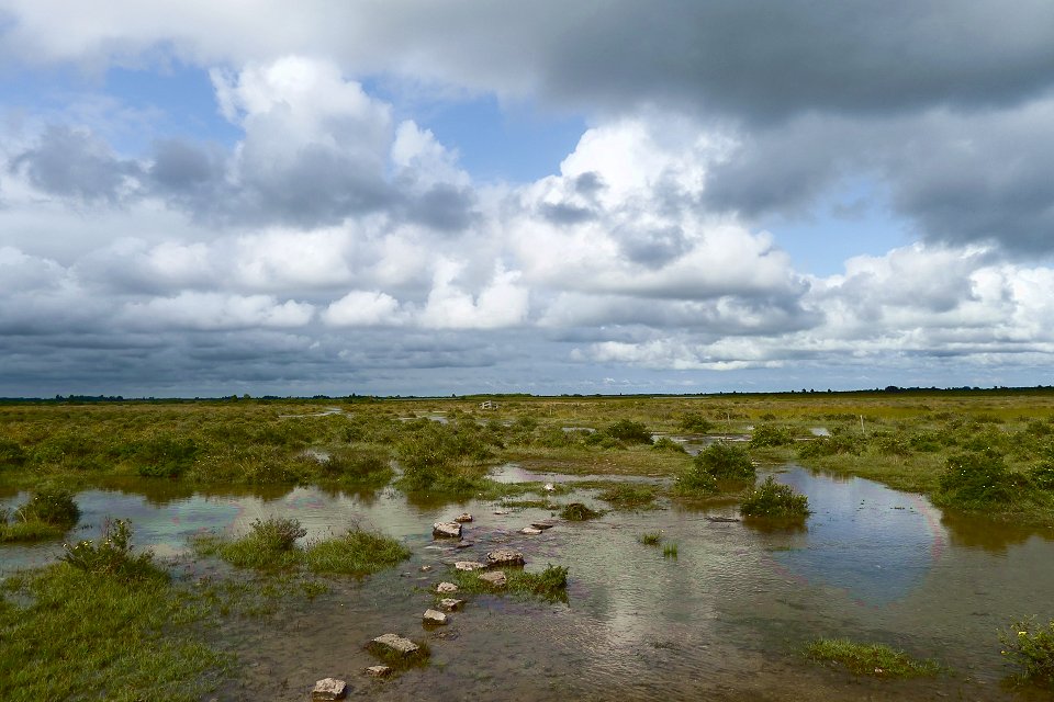 Öland - juli 2011