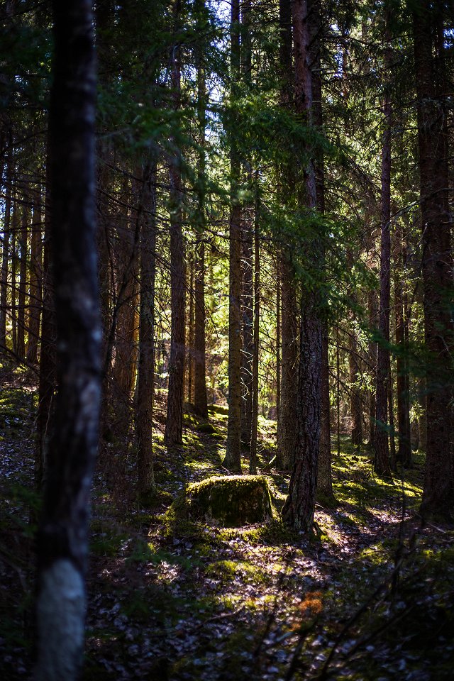 Österunda - maj 2017