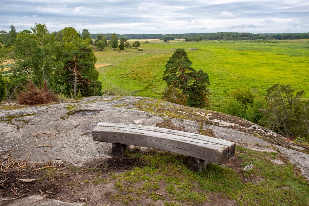 Angarnssjöängen - augusti 2019