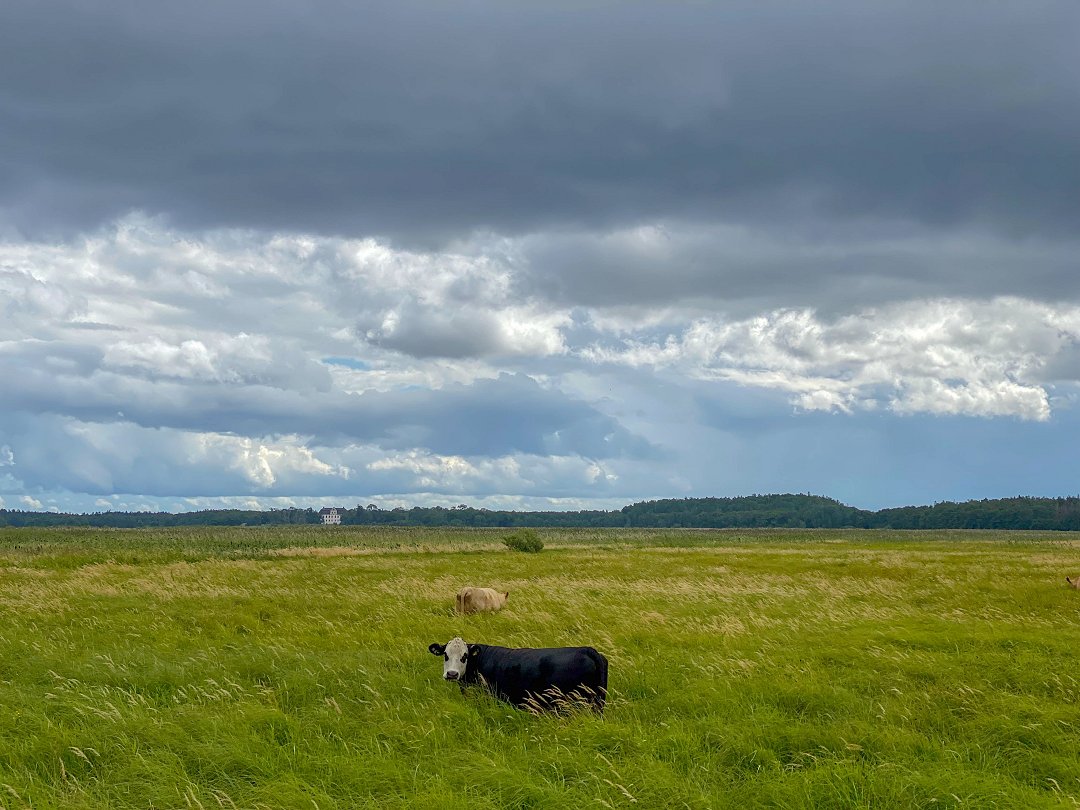 Asköviken, Lövstaspången - juli 2022