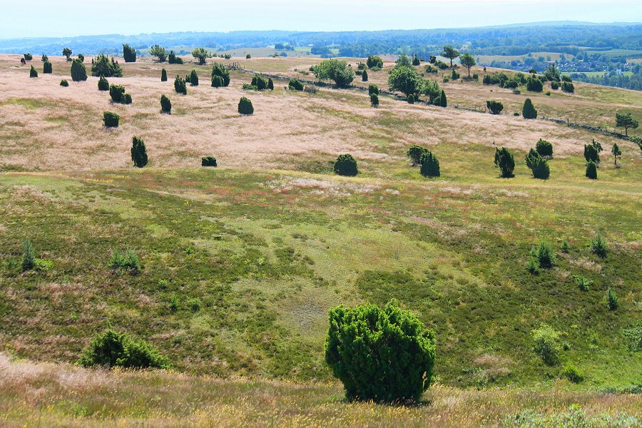 Brösarps Backar - juli 2012