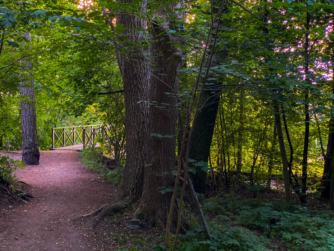 Engelska parken, Hässelby - juni 2022