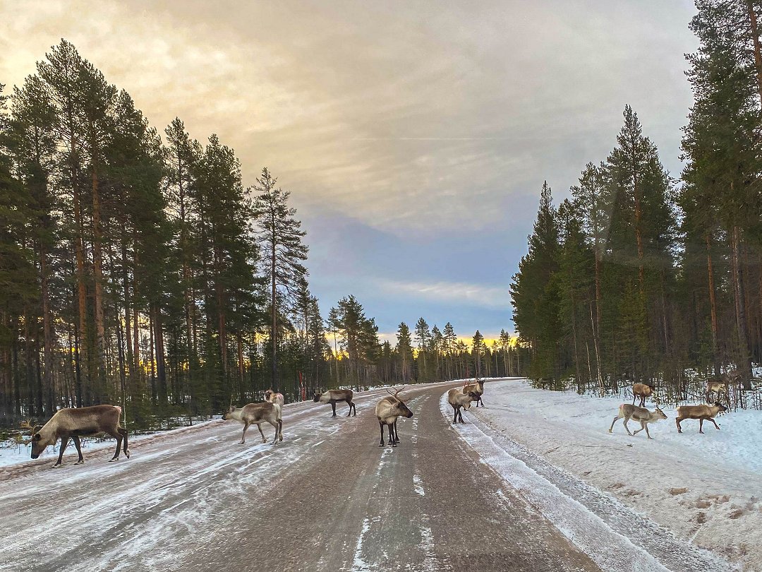 Fettjeåfallet, Klövsjö - februari 2025