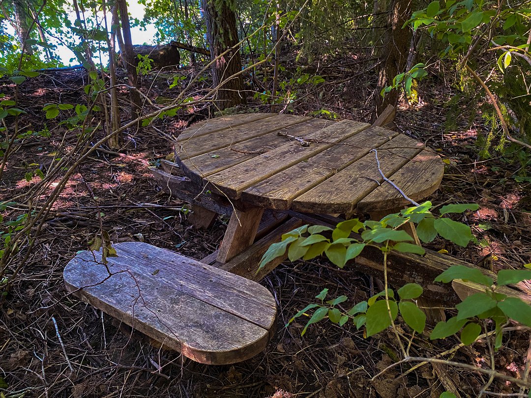 Finntorpsbrottet, Sala - juli 2022 bord mitt i skogen