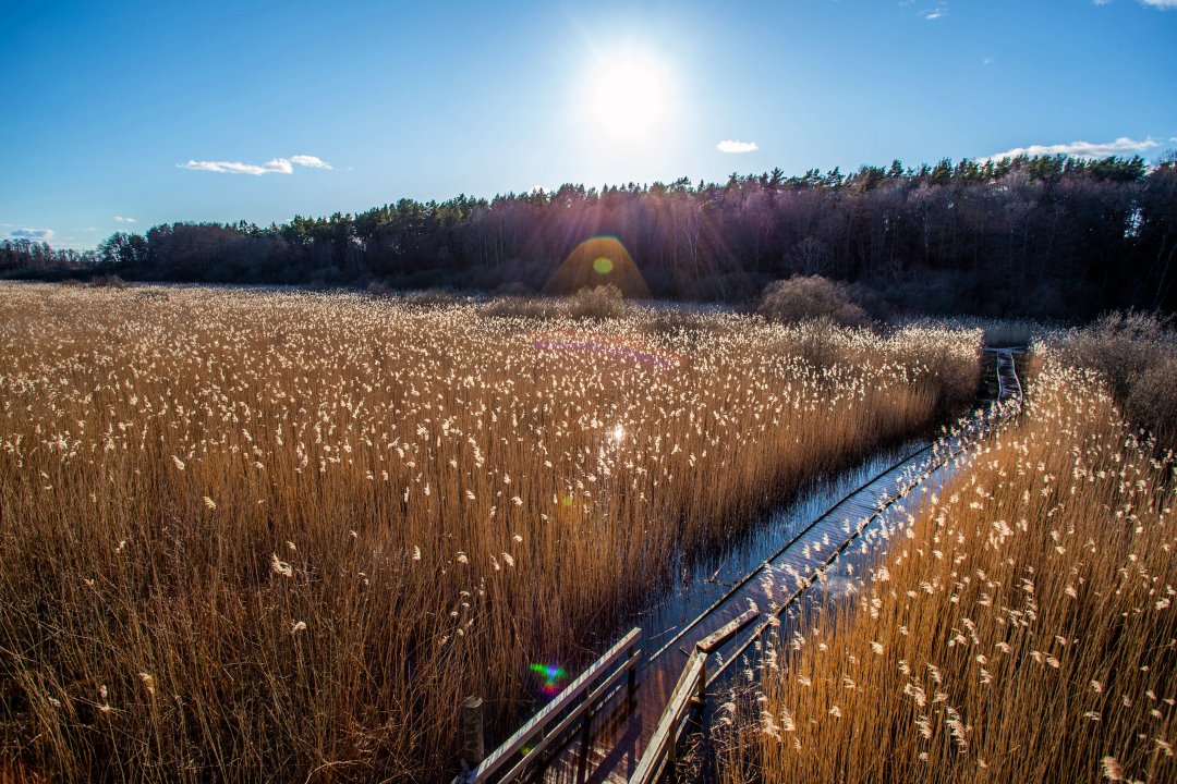 Fysingens naturreservat, Rosersberg - mars 2020