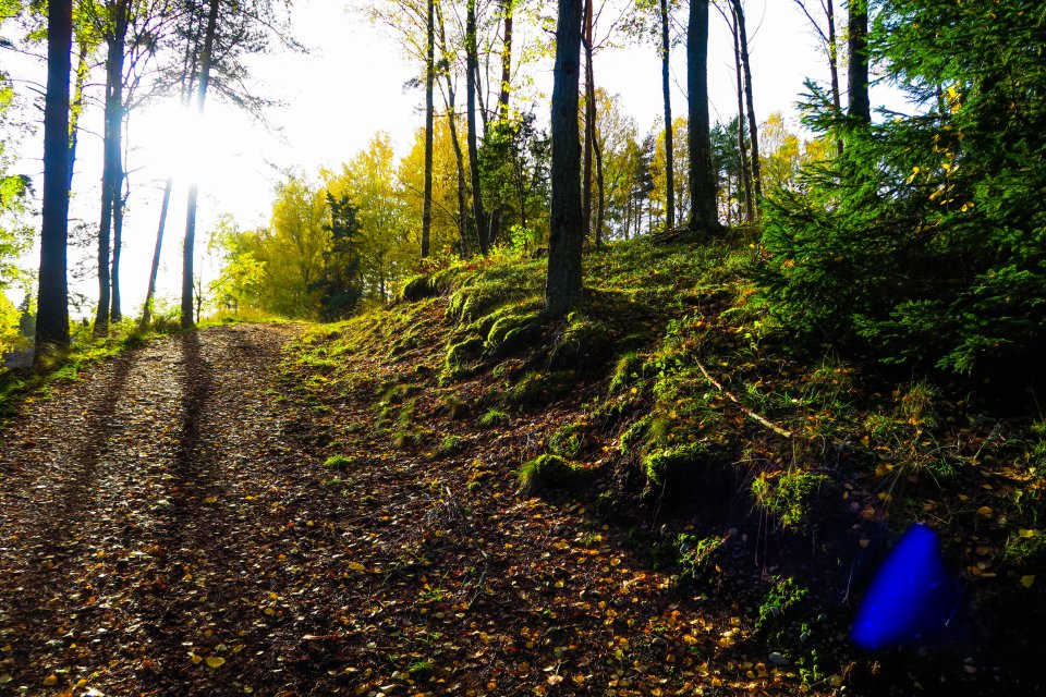 Granåsens naturreservat - oktober 2017