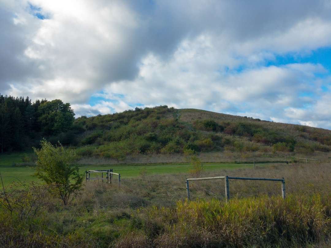 Granholmstoppen, Järva - oktober 2020