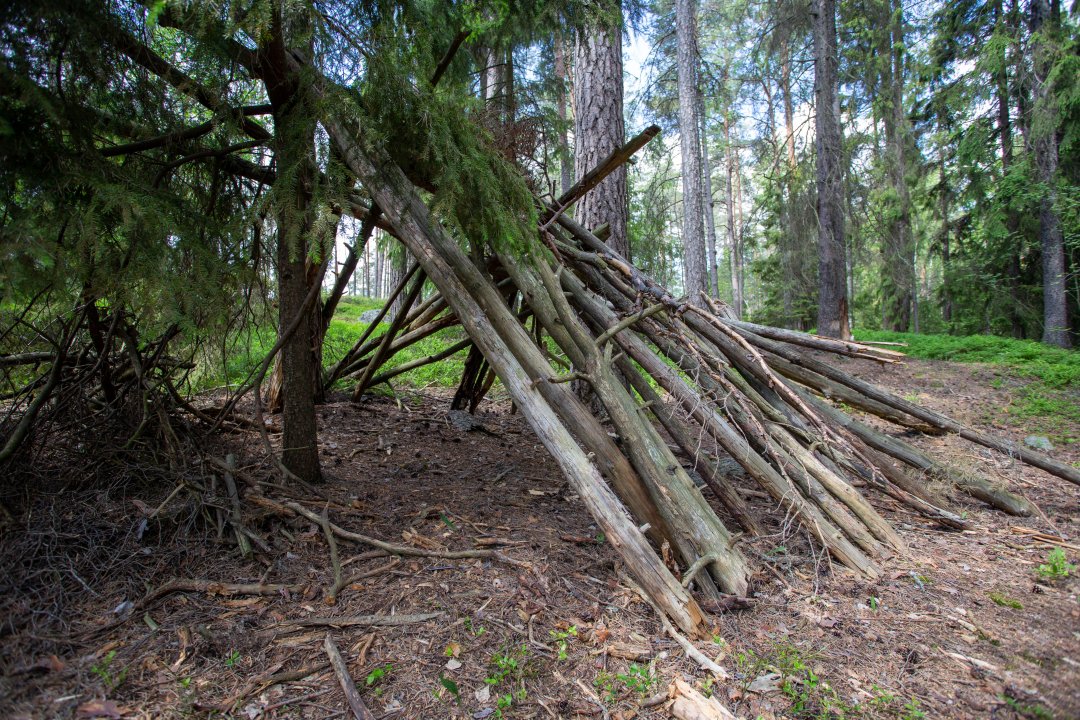 Grimsta naturreservat, Stockholm - juni 2020