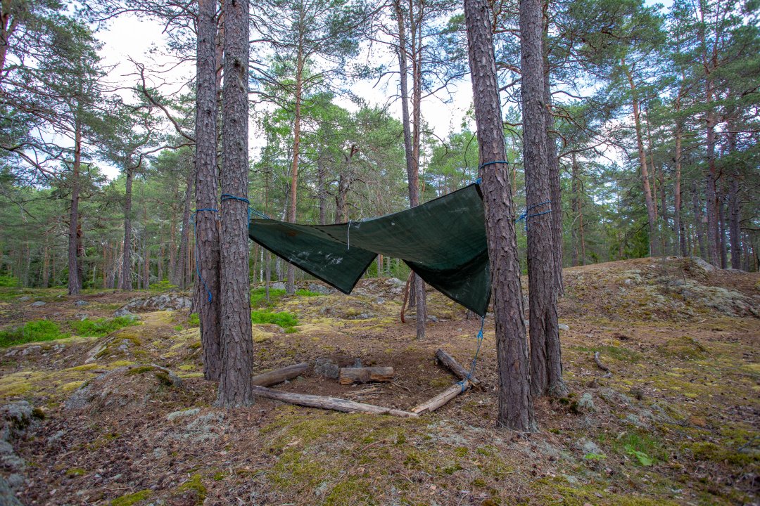 Grimsta naturreservat, Stockholm - juni 2020 tarp