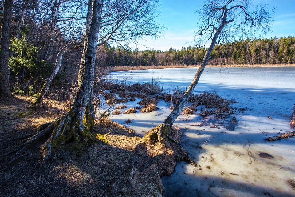 Gullsjön Täby - mars 2017