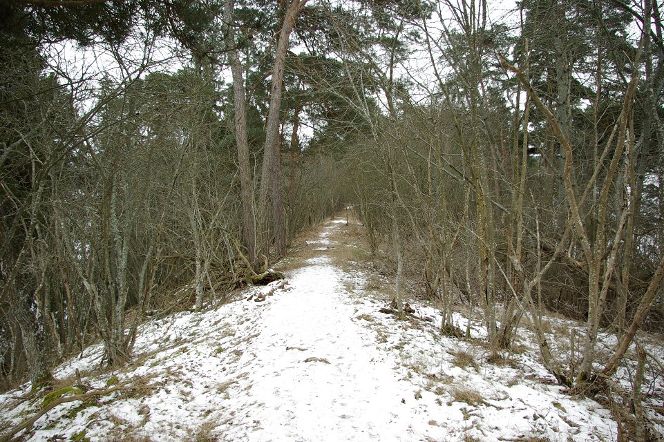 Huvududdens naturreservat - feb 2009