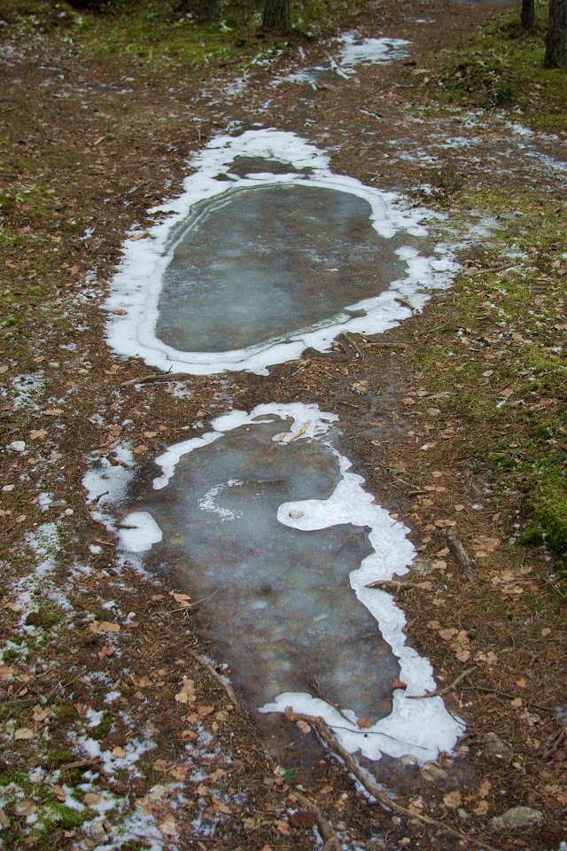 Huvududdens naturreservat - feb 2009 is pa polarna