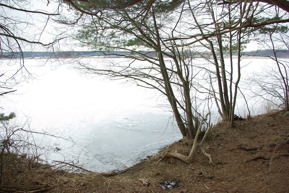 Huvududdens naturreservat - feb 2009 is pa vattnet