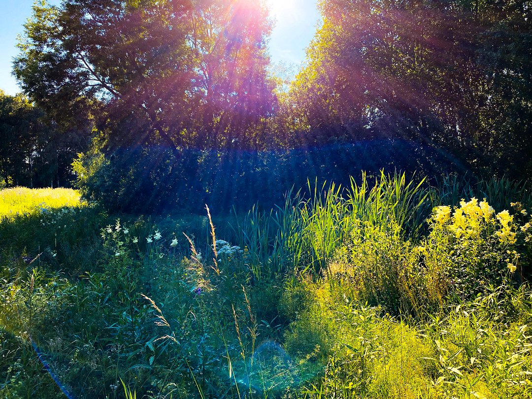 Kyrkparken, Järfälla - juli 2022 skarp sol