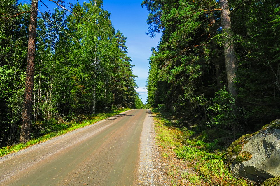 Myrkarby Naturreservat - augusti 2017 the road