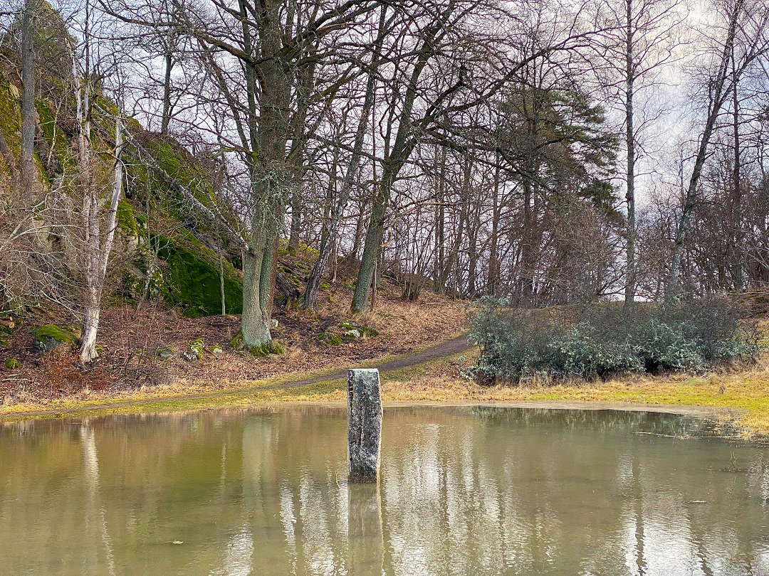 Näsuddens naturreservat, Åkersberga - januari 2025