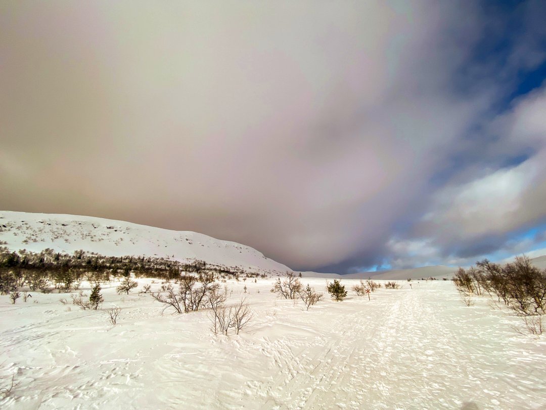 Nipfjället, Idre - februari 2024