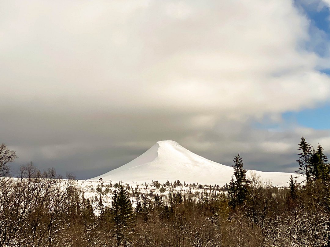 Nipfjället, Idre - februari 2024