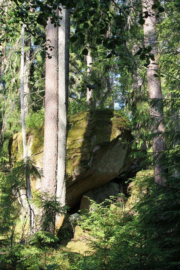 Norra Kvills nationalpark - juli 2012 Img 9765