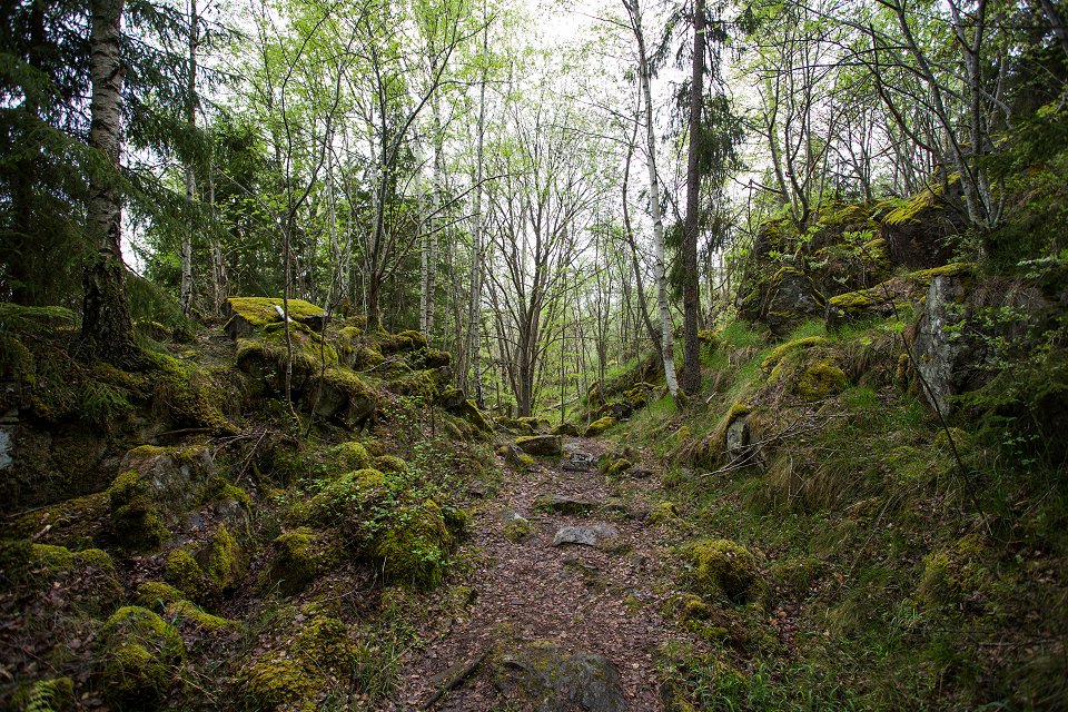 Ombergs nationalpark - maj 2018 oxbaset ravin