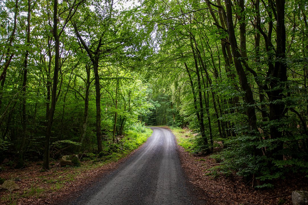 Onslunda sten Skåne - augusti 2019