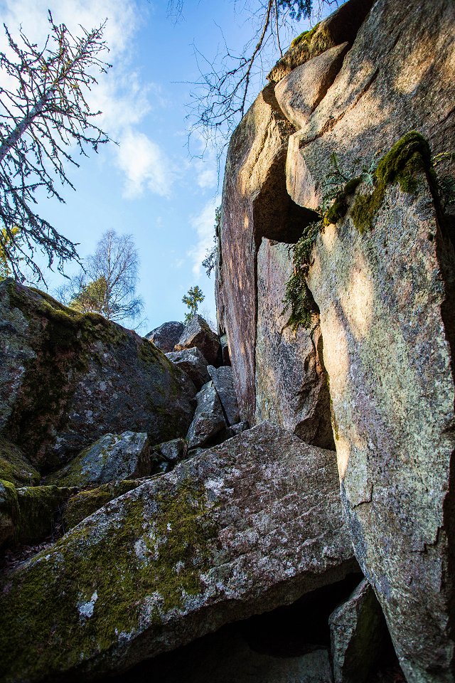 Pukeberget Domta - maj 2017