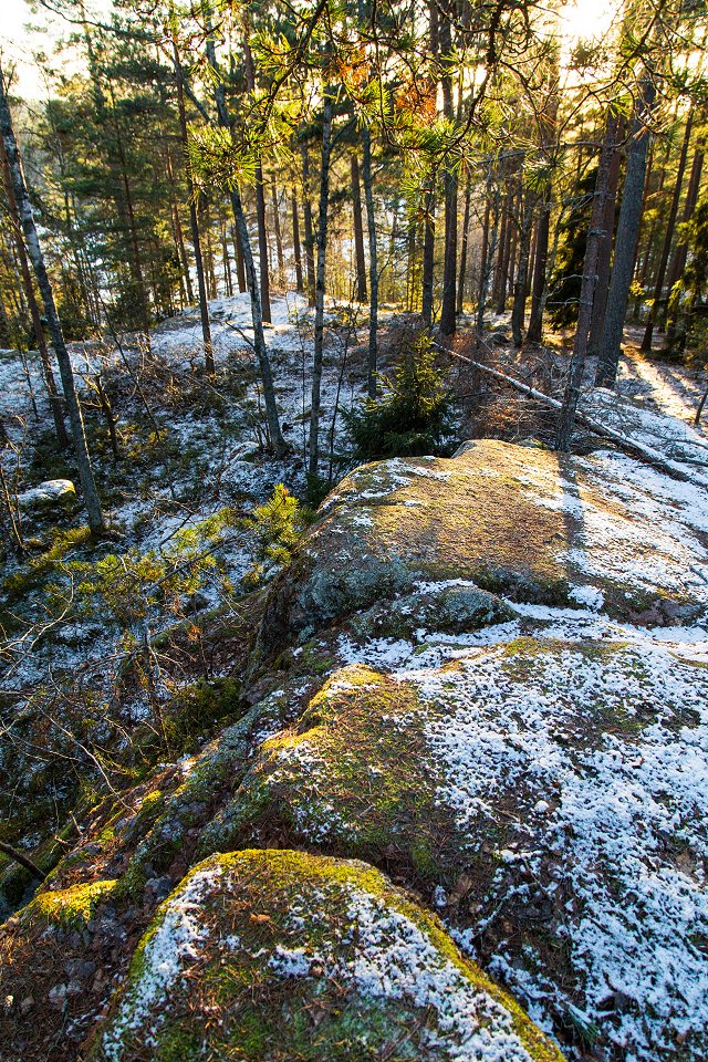 Rösjöskogens naturreservat - januari 2017 snow on the top of the cliff