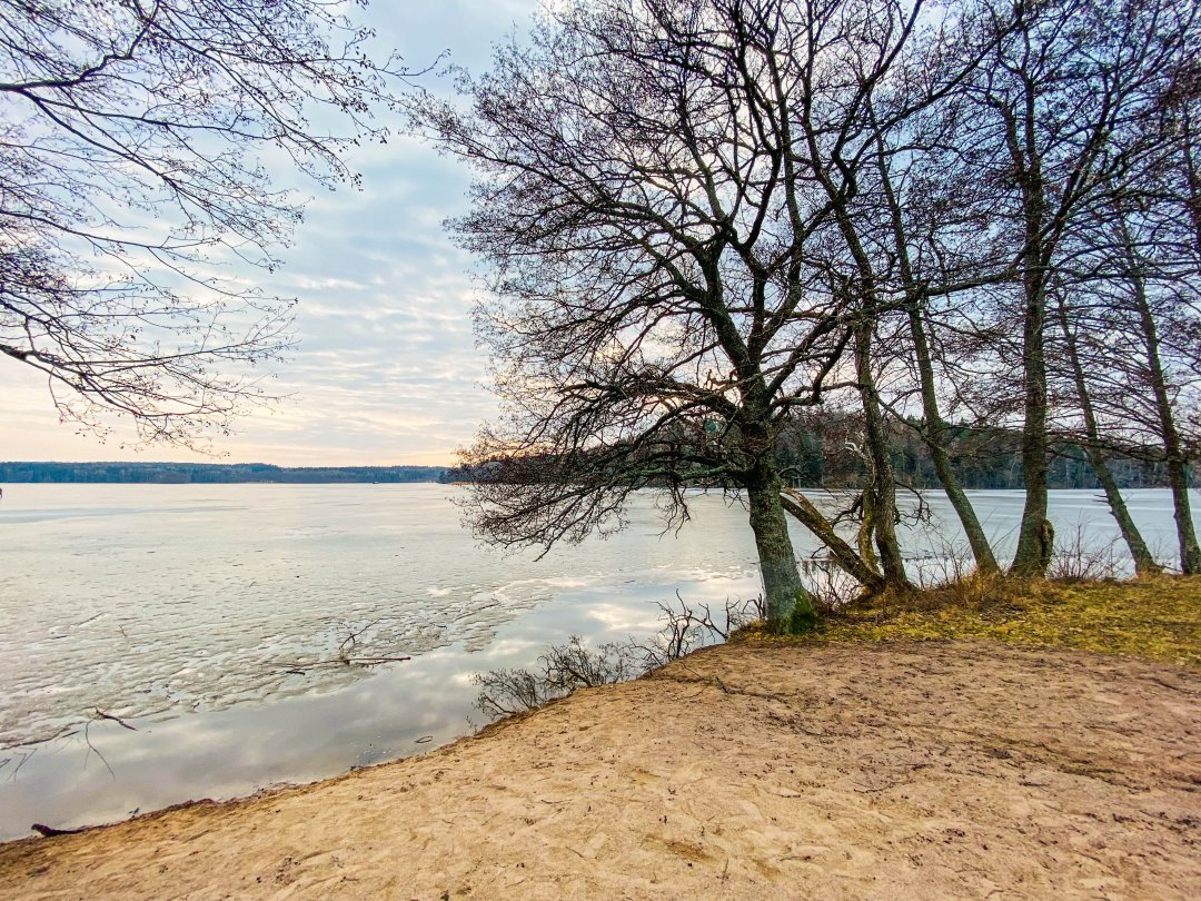 Sättra gård naturreservat - mars 2024