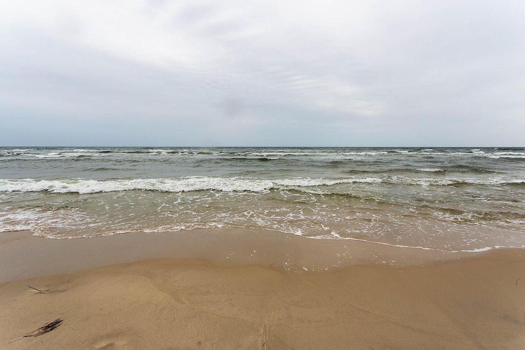 Sandhammaren Skåne - augusti 2019