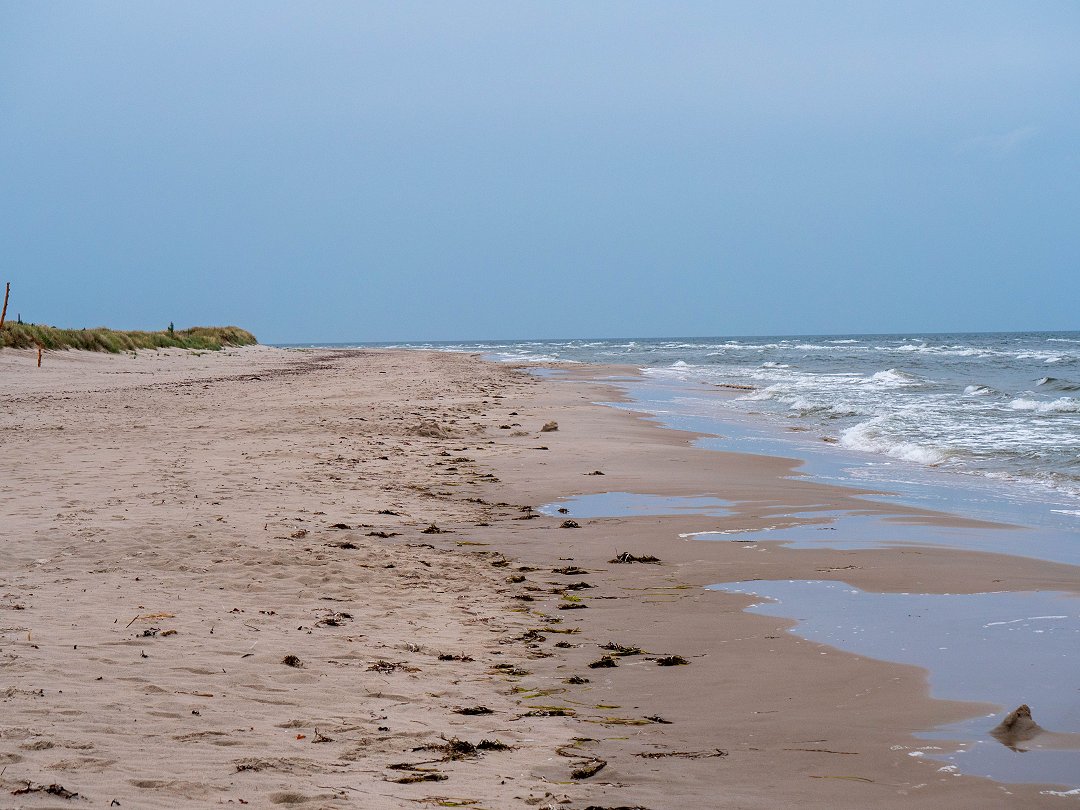 Sandhammaren Skåne - augusti 2019 regn over stranden