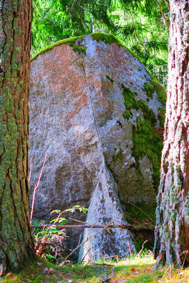 Skattmansöådalens naturreservat - augusti 2017 strangest stone