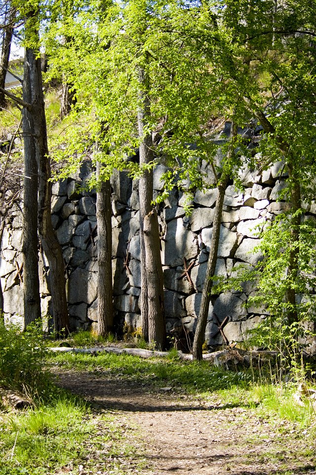 Stäketskogens naturreservat - maj 2011 gammal stenmur