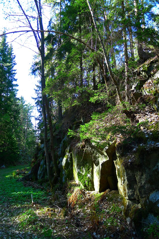 Stäketskogens naturreservat - maj 2011 klippa skog