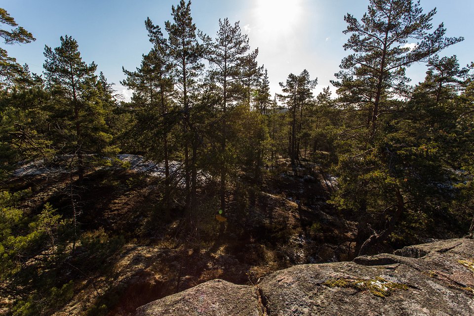 Törnskogens naturreservat - mars 2017 utsikt tornskogen
