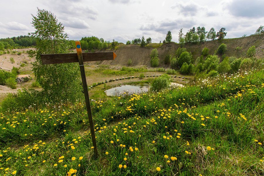 Torslundagropens naturreservat - maj 2016 skylt