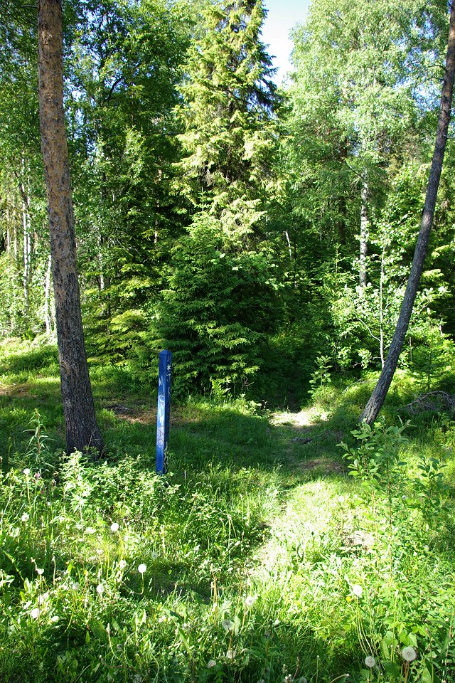 Torvalla urskog - juni 2008 anvisning om vagen