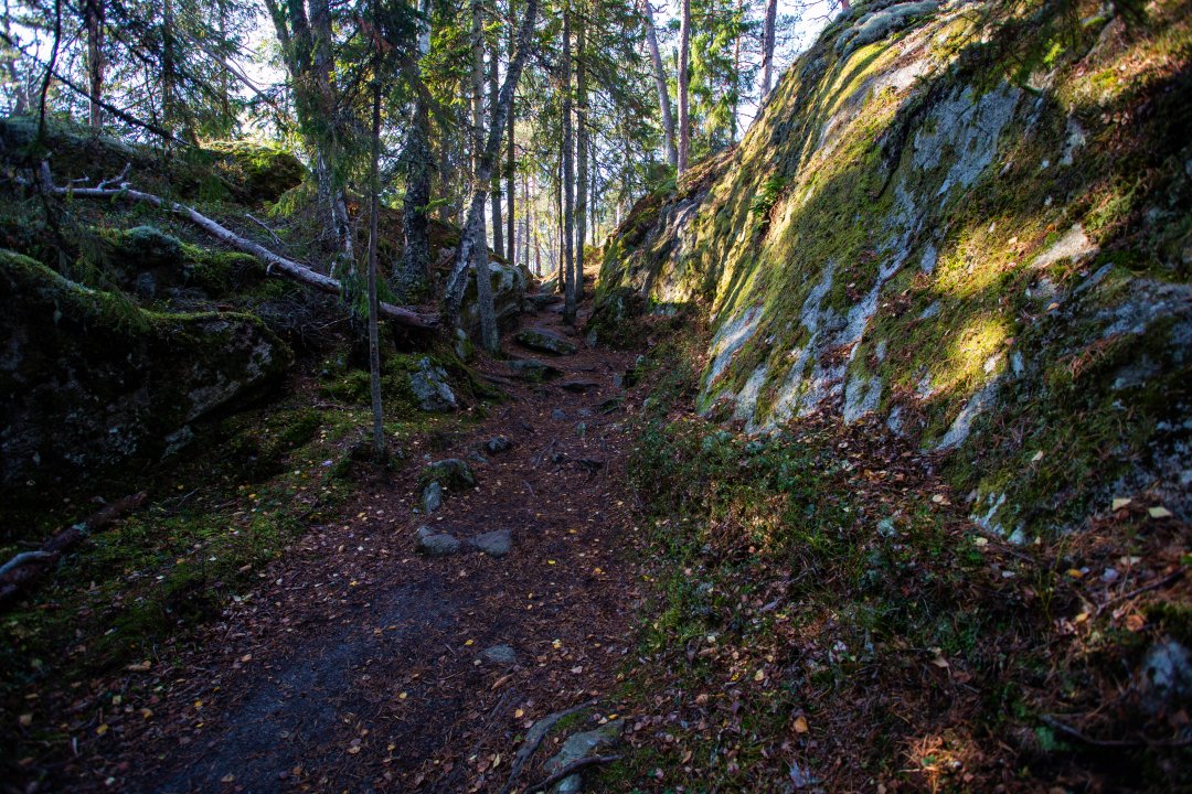 Tyresta nationalpark - oktober 2018 stigen