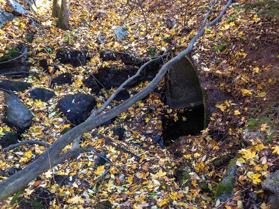 Uvbergets naturreservat - oktober 2016 nere i ravinen