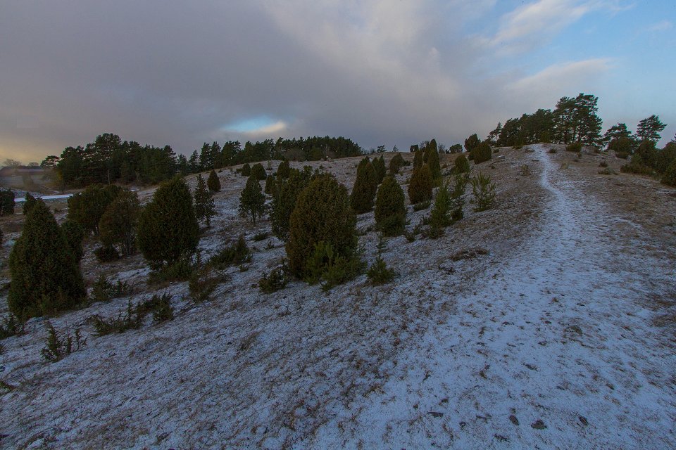 Vånsjöåsen - november 2016