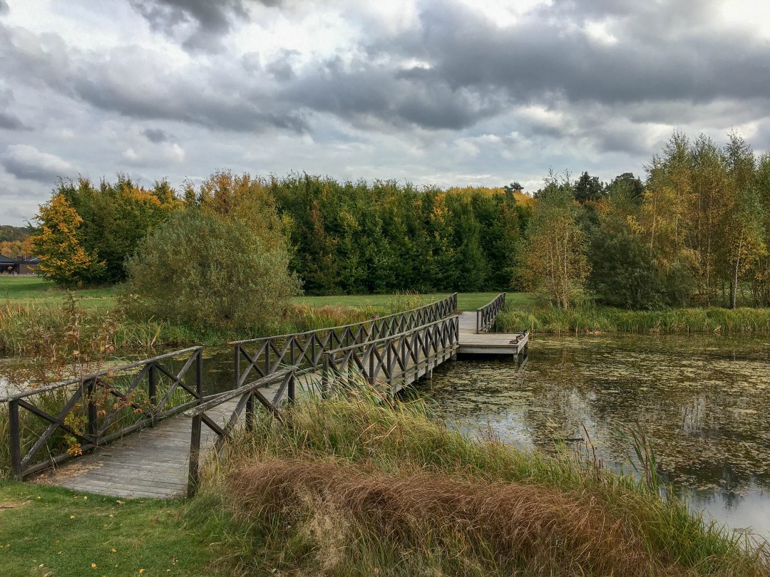 Vattenparken, Enköping - oktober 2021 bron
