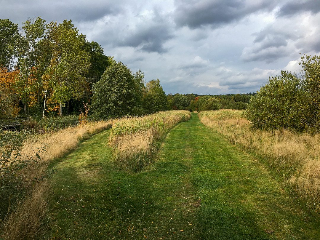 Vattenparken, Enköping - oktober 2021 klippt grasmatta