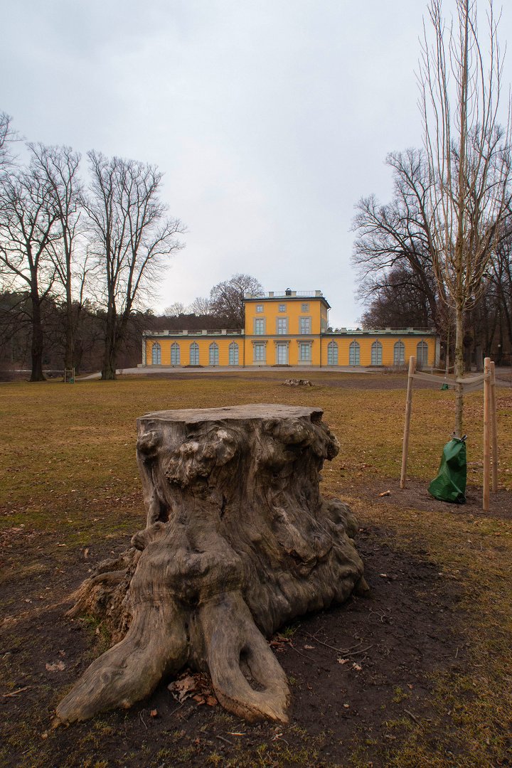 Gustav III:s paviljong, Haga - februari 2019 stubben