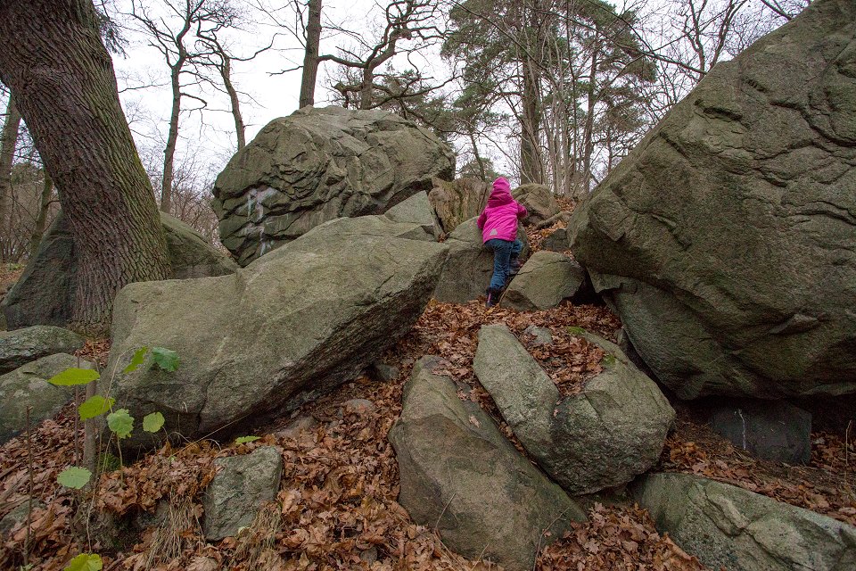 Haga slottsgrund - november 2014 ellie klattrar pa stenar