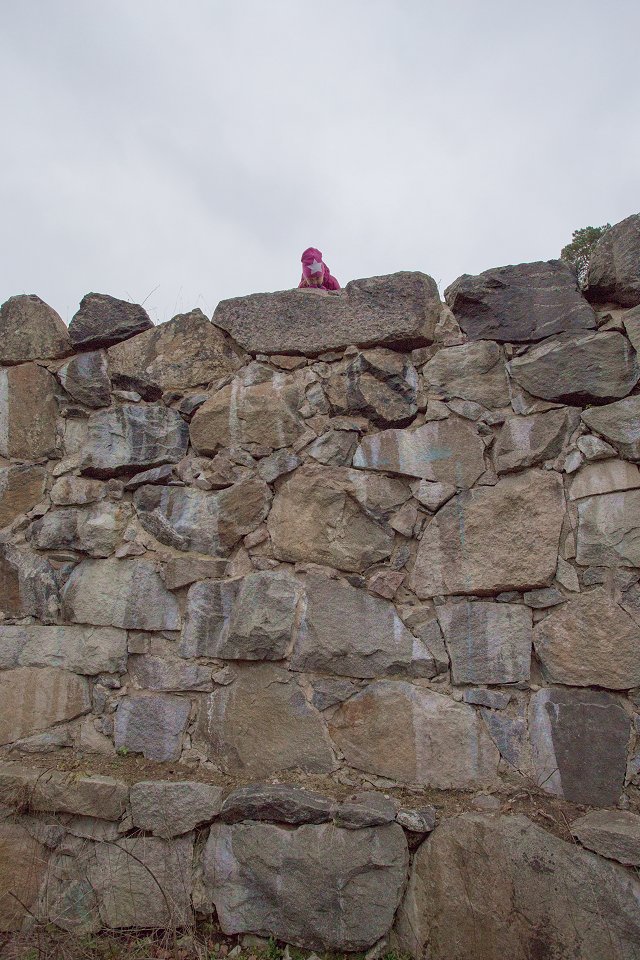 Haga slottsgrund - november 2014 mur slottsruin