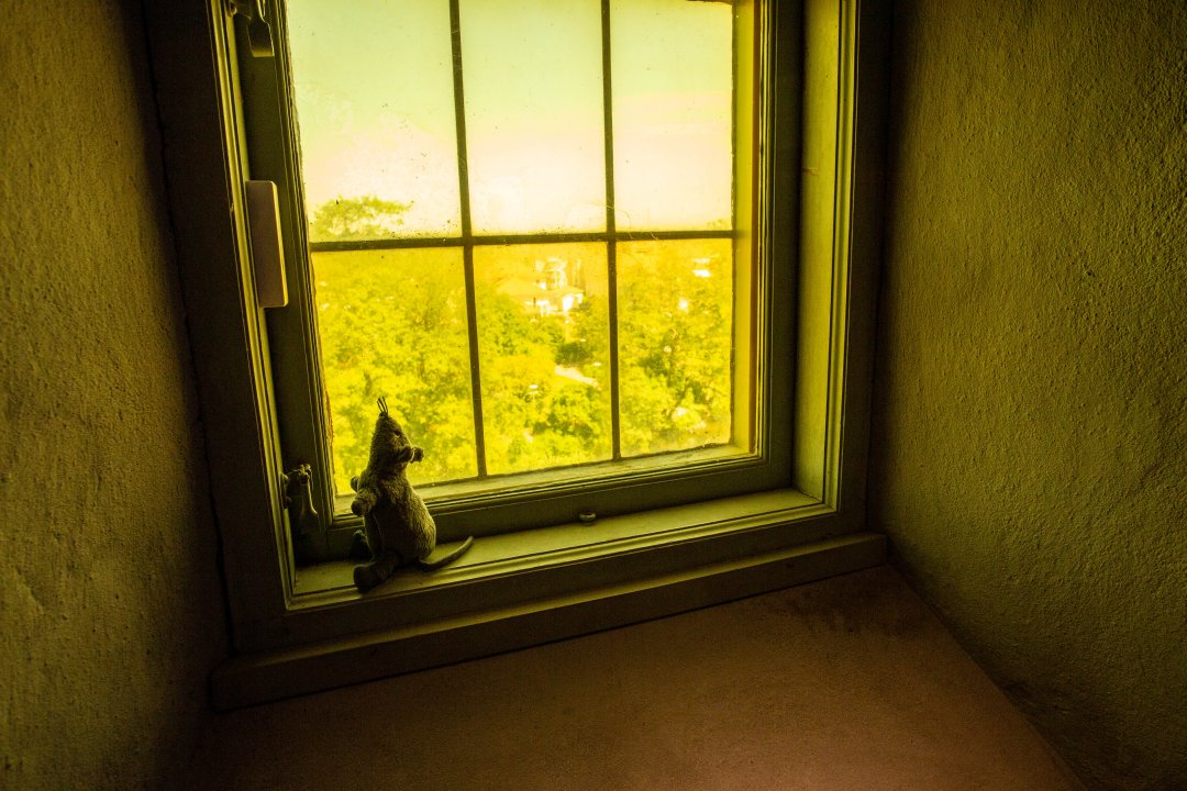 Nyköpings hus – juni 2019 green window