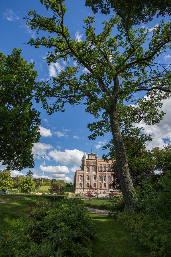 Stora Sundby slott - augusti 2015 IMG 3677