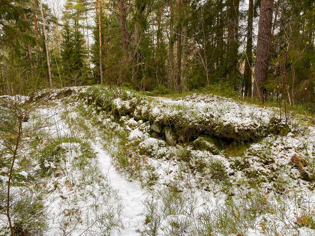 Skyttevärnslinje, Norra Fronten, Täby – februari 2023 blabars ris
